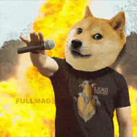 Dog-fire-meme GIFs - Get the best GIF on GIPHY