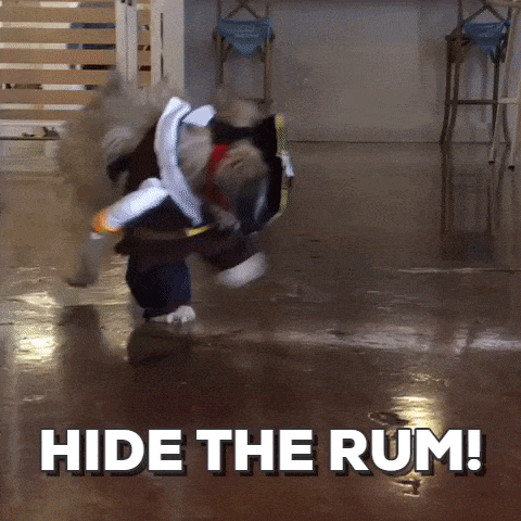 Funny-puppies GIFs - Get the best GIF on GIPHY