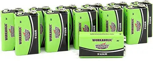 Interstate Batteries Volt Alkaline Battery (Pack) All Purpose V High Performance Batteries   Workaholic (DRY)