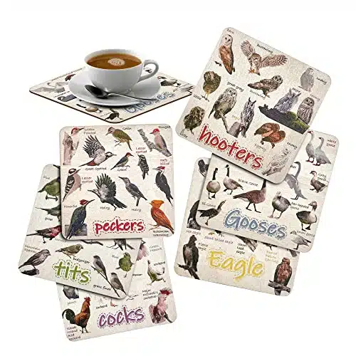 Set of Bird Pun Coasters, Bird Pun Coasters for Drinks, Square Coaster Set for Cups Home Funny Coasters Set for Bird Lover Friends Bar Housewarming Gift Coffee