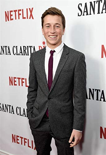 Skyler Gisondo Poster   x