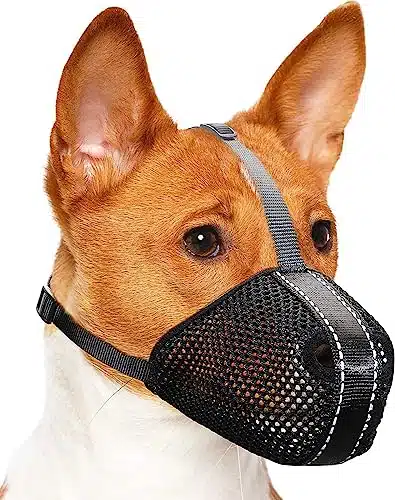 Soft Mesh Dog Muzzle for Small Medium Large Dogs, Visinite Durable Air Mesh Fabric Soft Dog Mouth Guard with Adjustable Straps & Buckle, No Bite Muzzle for Dogs, No Bark & No Chew (X Small)