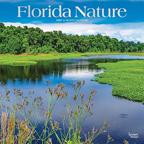 Florida Nature  x Inch Monthly Square Wall Calendar  Foil Stamped Cover  BrownTrout  USA United States of America Southeast State