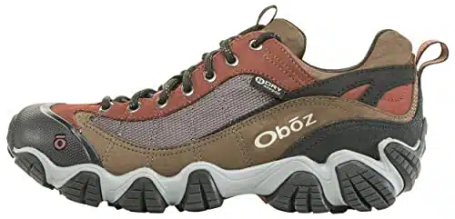 Oboz Men's Firebrand II BDry Mulitsport Shoe,Earth, US