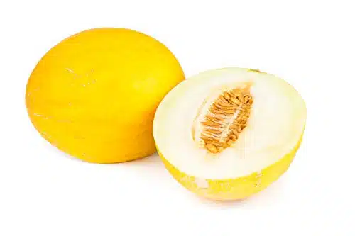 Canary Yellow Melon Seeds   Non GMO   Grams