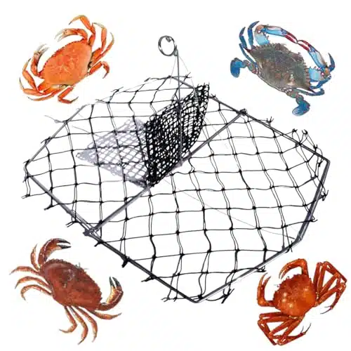 Folding Castable Crab Trap Crabjaw with Bait Bag   Sporty Mighty Mini  x  noRope   Sporty Crab Traps