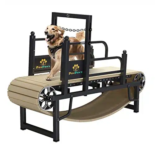 PawPaw Dog Treadmill for Large and Medium Dogs up to lb   Indoor & Outdoor Use for Healthy & Fit Dog Life (Medium, Black)