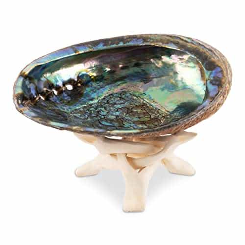 Wish Well Natural Abalone Shell Inch Large with Wooden Stand   Incense Holder and Sage Smudge Bowl for Cleansing, Smudging, and Meditation   Palo Santo Holder & Beautiful Home Decor