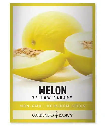 Yellow Canary Melon Seeds for Planting Heirloom, Non GMO Vegetable Variety  Grams Seed Great for Summer Melon Gardens by Gardeners Basics