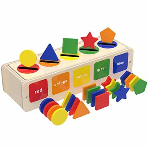 SHARKWOODS Montessori Toys for Years Old Boys Wooden Sorting & Stacking Toy Color & Shape Early Educational Block Puzzles Toddler Toys Learning Puzzles Gift (Box)